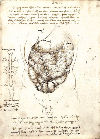 Léonard de Vinci - l'aventure anatomique