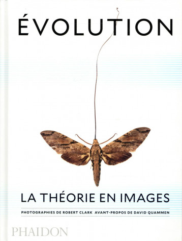 Évolution, La théorie en images