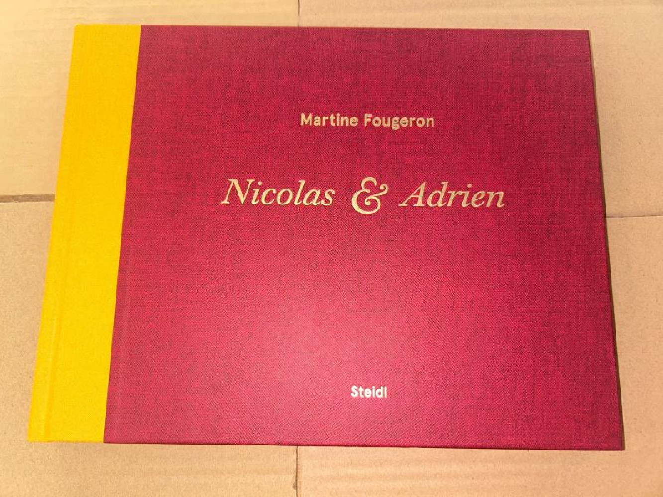 Martine fougeron - Nicolas et Adrien