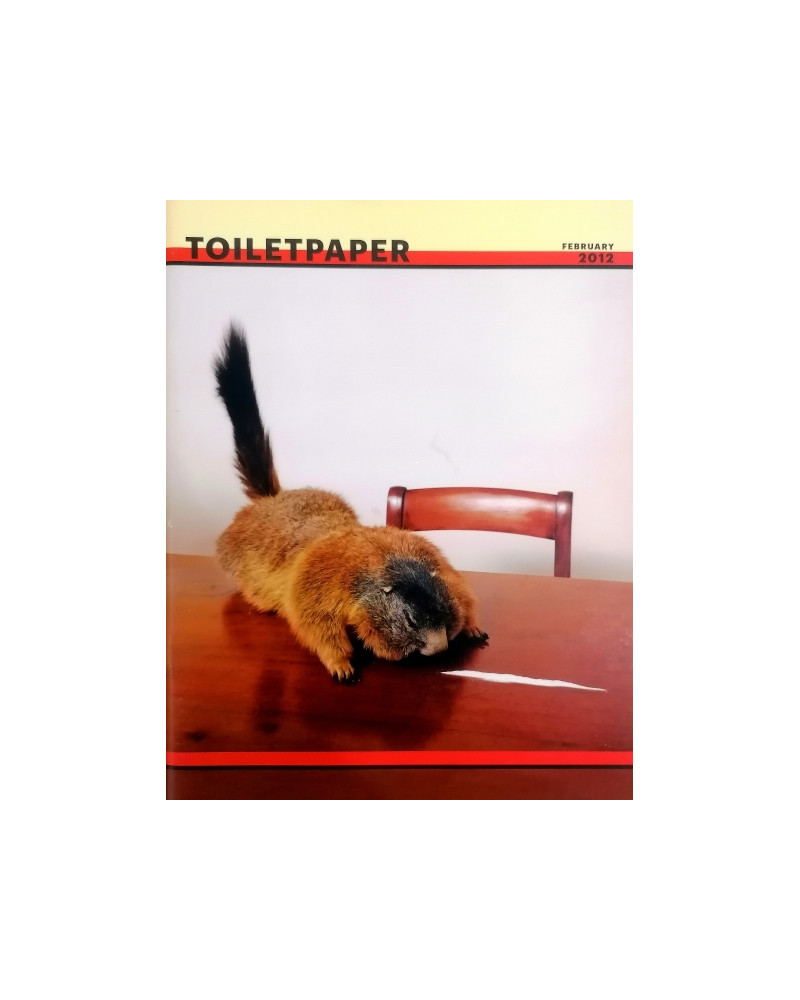 TOILETPAPER Magazine february 2012